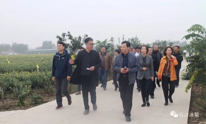 云臺冰菊基地發(fā)生了什么？一批批領(lǐng)導(dǎo)專家團隊前來！