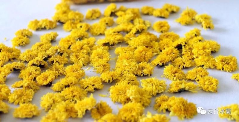 2018，種下希望，靜待花開！